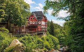 Hotel Steinerne Renne Garni